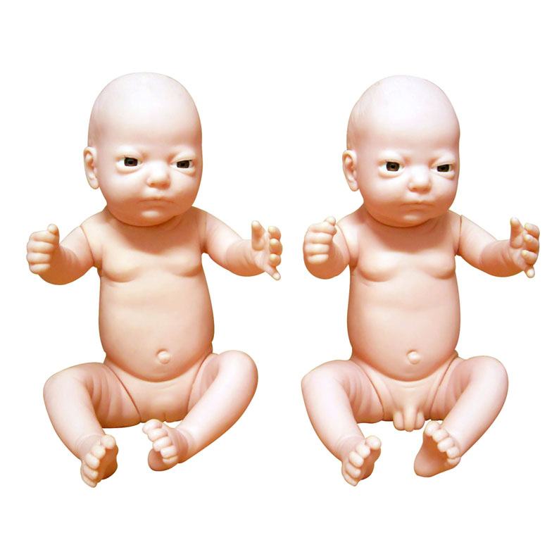 ߼냺ģ(ЋŮx)
