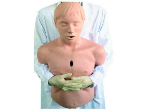 ģMģͣƤ